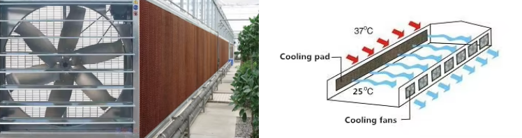 product-748-198 product-748-198